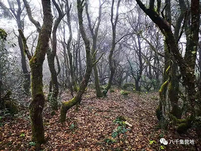 老圭山風(fēng)景.jpg 老圭山風(fēng)景.jpg