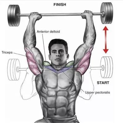 坐姿杠鈴推舉.jpg 坐姿杠鈴推舉.jpg