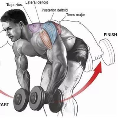 俯身啞鈴平舉.jpg 俯身啞鈴平舉.jpg