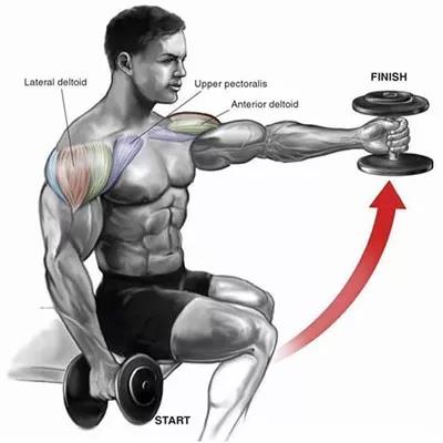 坐姿杠鈴交替前平舉.jpg 坐姿杠鈴交替前平舉.jpg