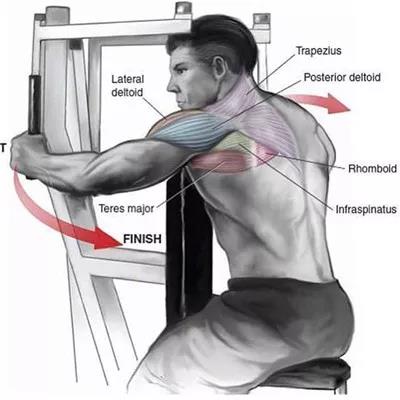 器械坐姿反式飛鳥.jpg 器械坐姿反式飛鳥.jpg
