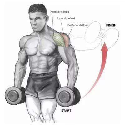 直立啞鈴側平舉.jpg 直立啞鈴側平舉.jpg