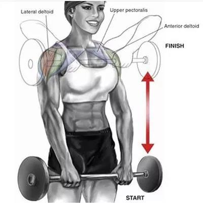 直立杠鈴胸前劃船.jpg 直立杠鈴胸前劃船.jpg