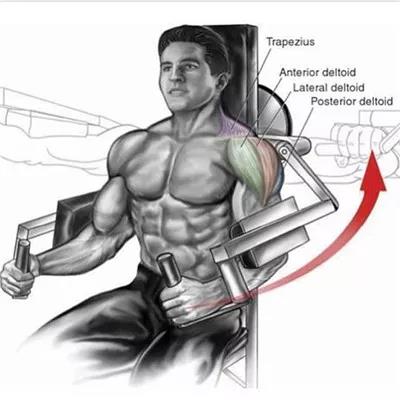 器械坐姿側平舉.jpg 器械坐姿側平舉.jpg